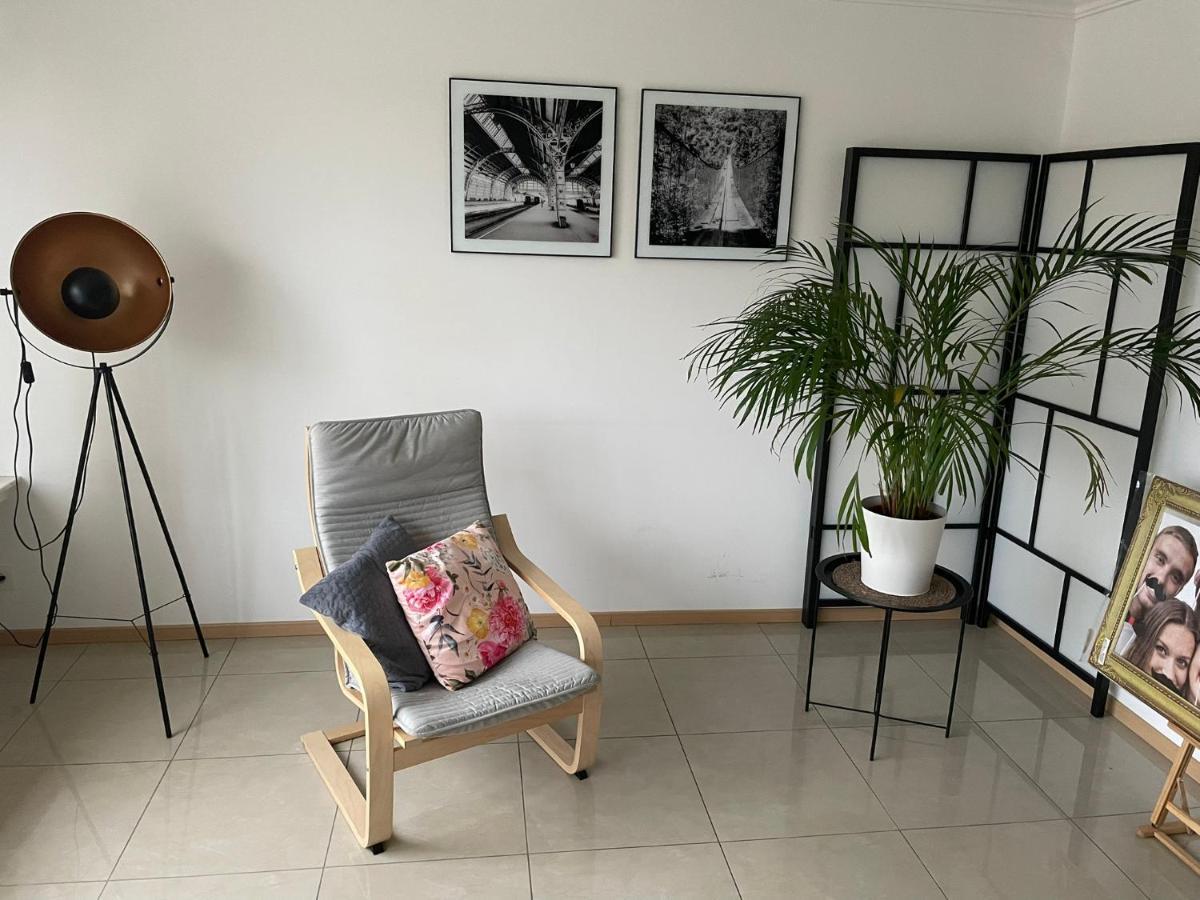 Superb Appartement With 3 Bed Rooms In Antwerpen ภายนอก รูปภาพ